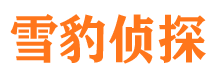 宝丰寻人公司